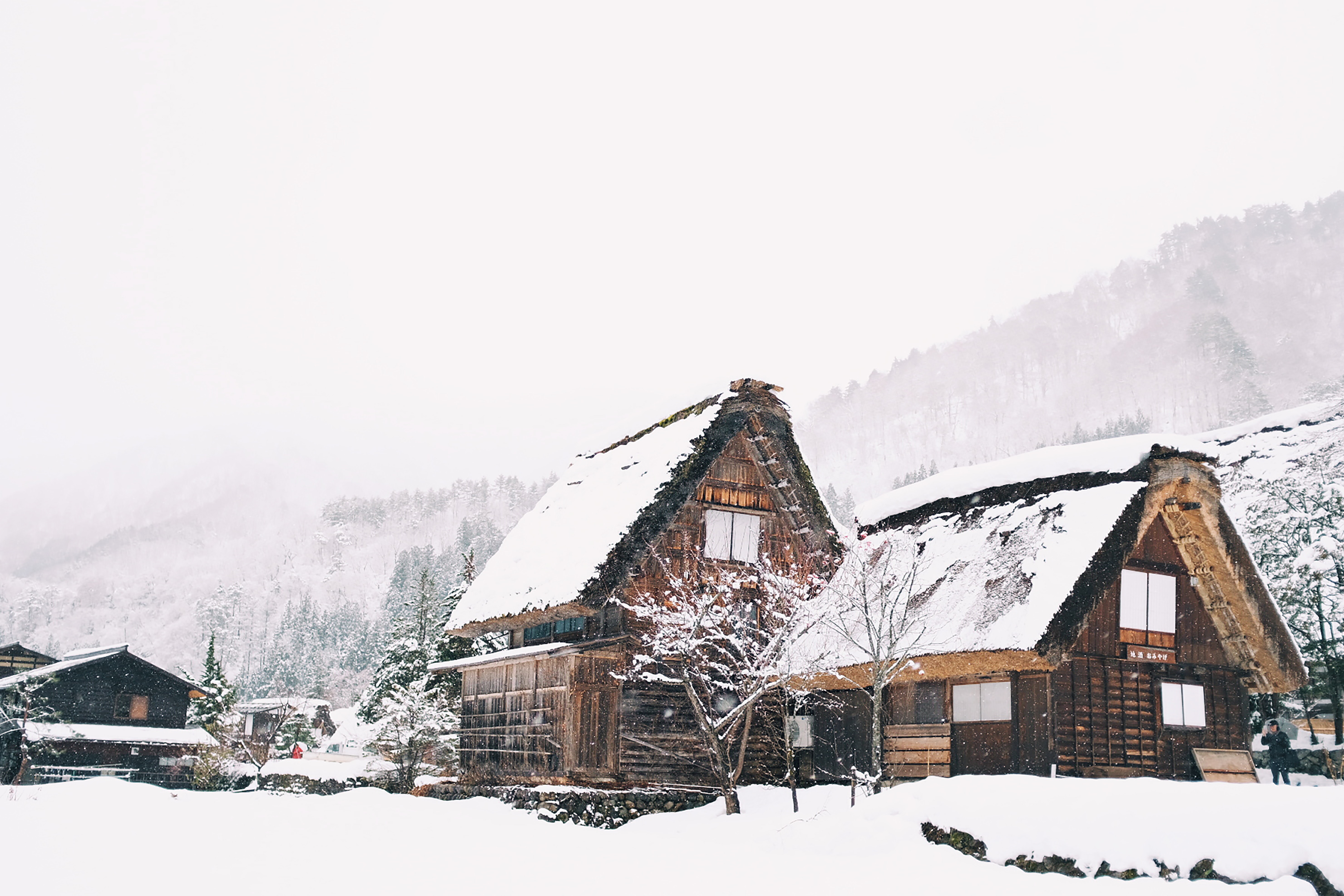 Chalets de montagne 