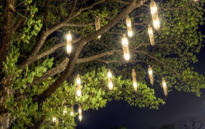 Comment mettre en lumière son jardin ?